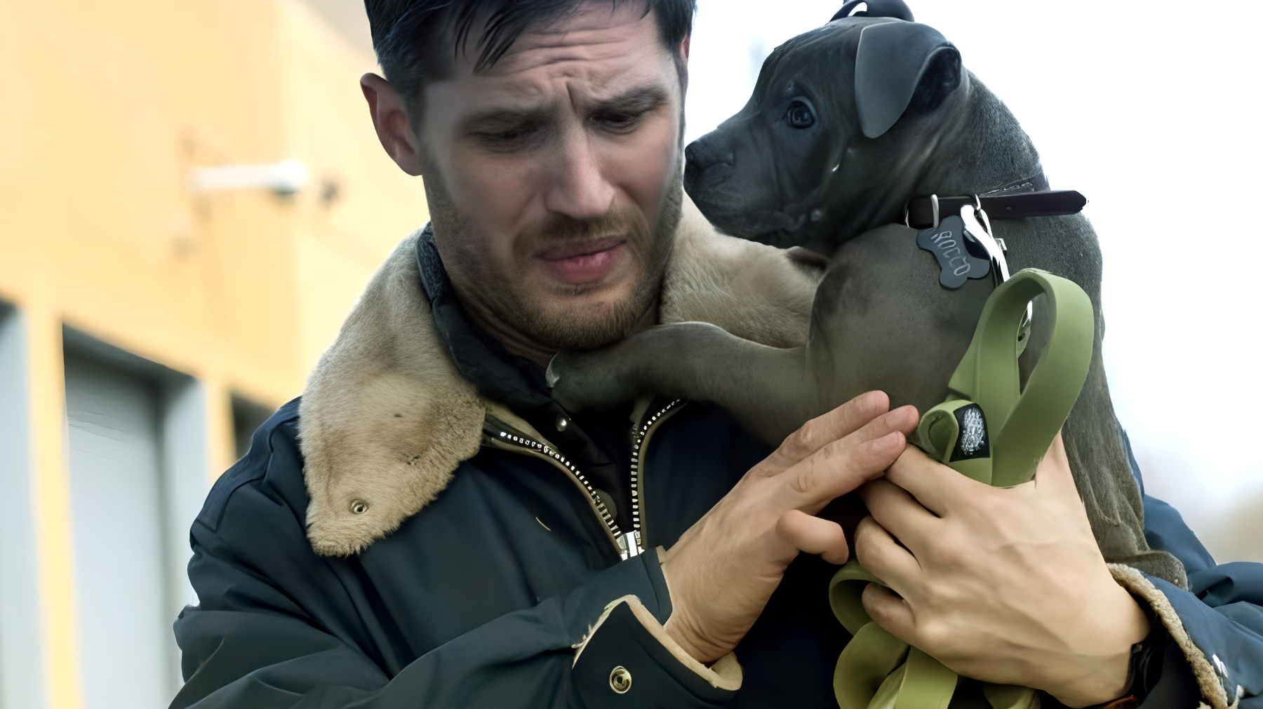 CHI E' SENZA COLPA - con Tom Hardy"